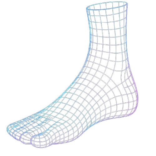 3D Foot